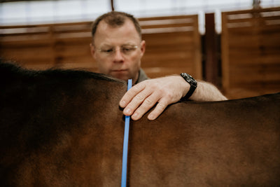 Prisopdateringer pr. 1. november 2025