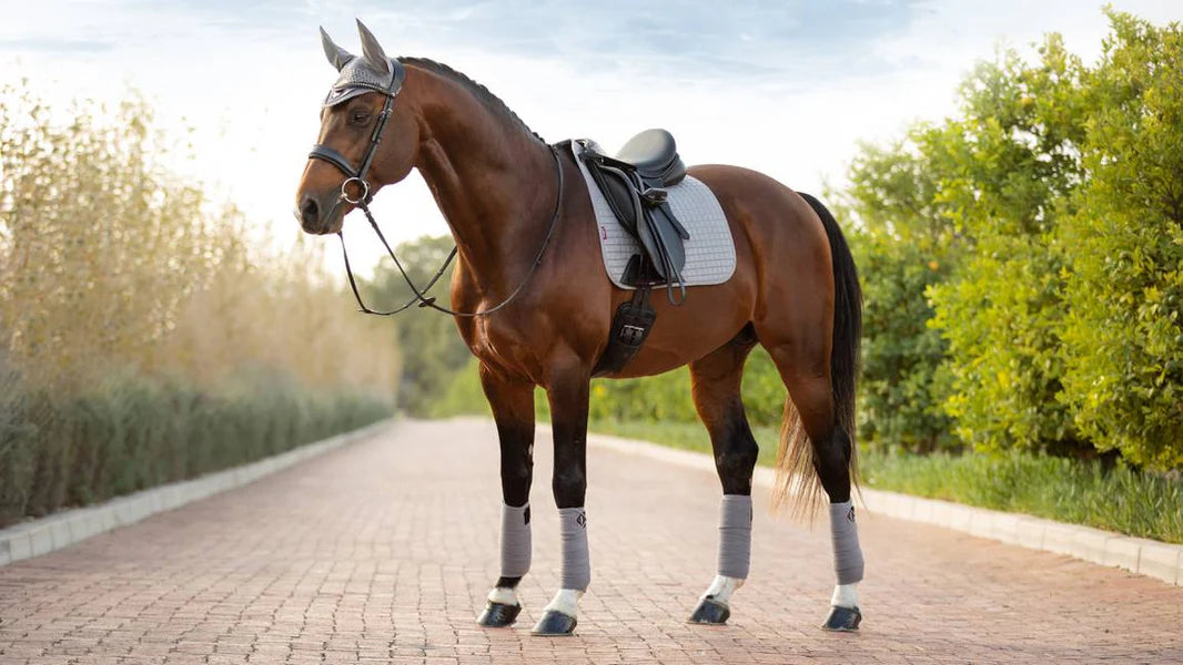 Lemieux Suede dressur sadelunderlag, dressur grå str. L