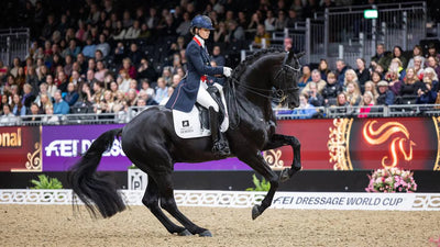 Lemieux Suede dressur sadelunderlag, dressur hvid str. L