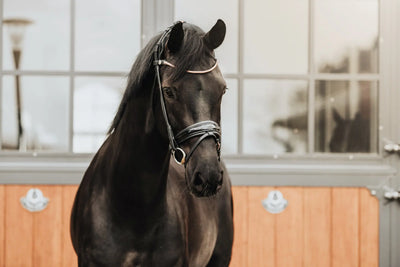 Finesse Bridles Cassidy trense i sort/sort m. rosegold